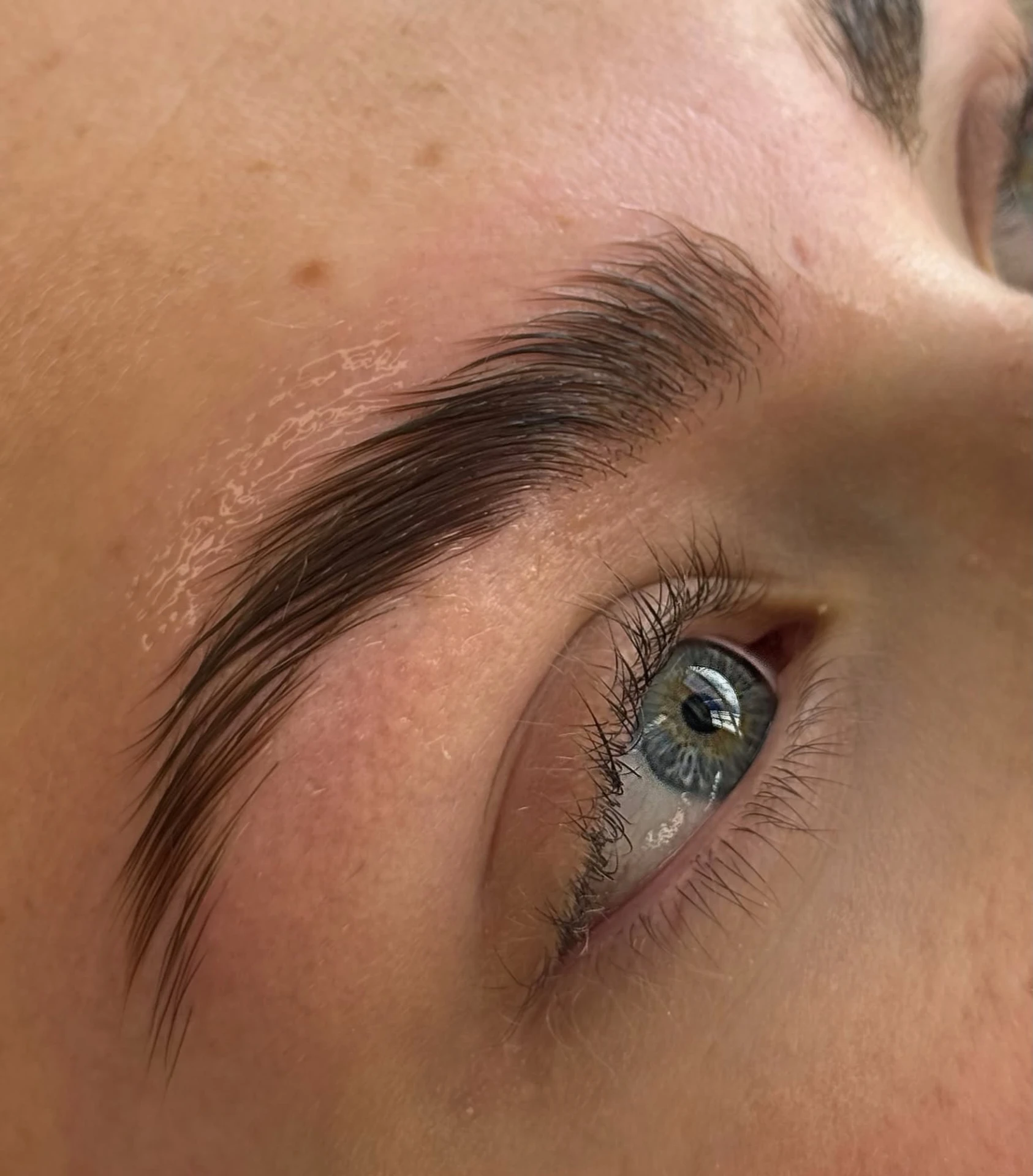 Detailed eyebrow beauty treatment